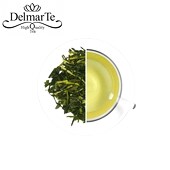 DelmarTe (2)